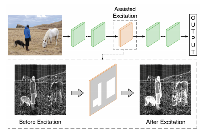 Assisted Excitation of Activations: A Learning Technique to Improve Object Detectors