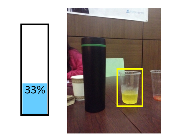 See the Glass Half Full: Reasoning about Liquid Containers, their Volume and Content