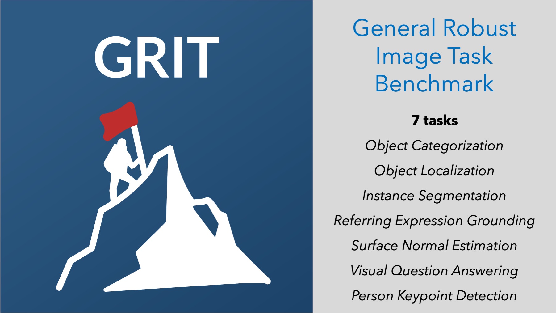 GRIT: General Robust Image Task Benchmark